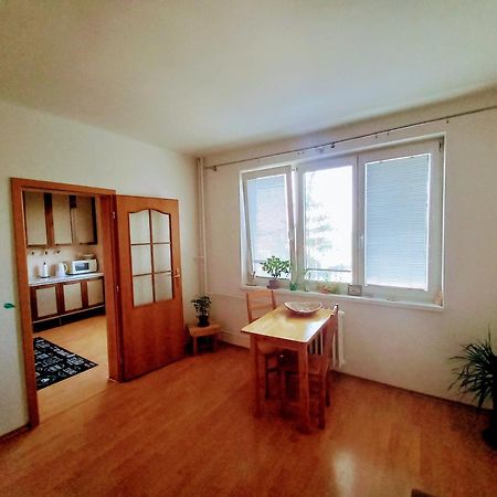 Apartman Lienka Free Parking City Centre Trenčín Dış mekan fotoğraf