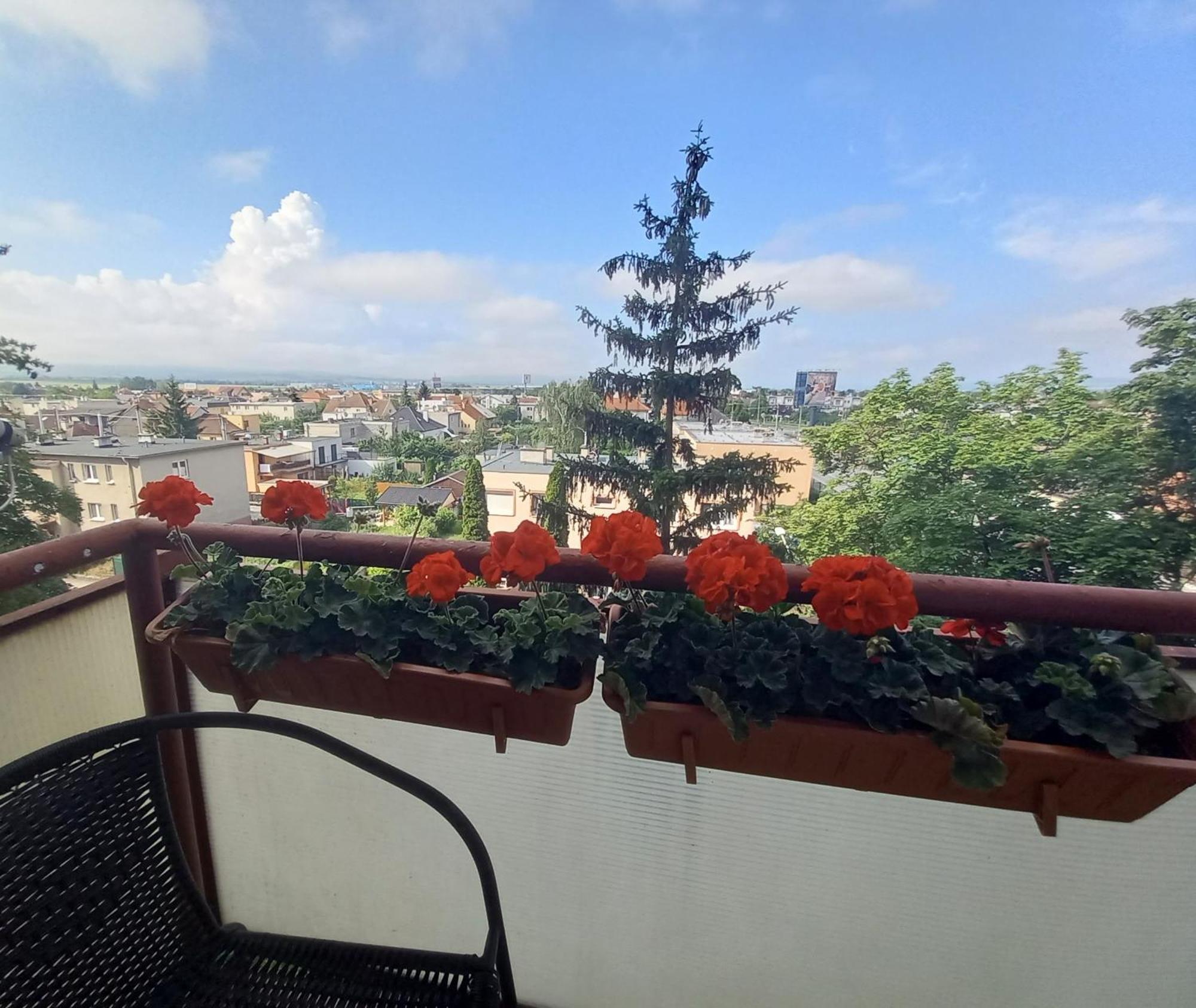 Apartman Lienka Free Parking City Centre Trenčín Dış mekan fotoğraf